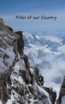 Pillar of our Country