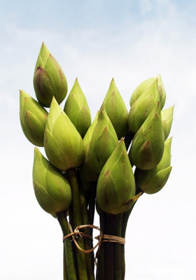 ଶ୍ରୀ ରାମଚନ୍ଦ୍ର