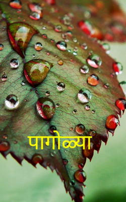 पागोळ्या