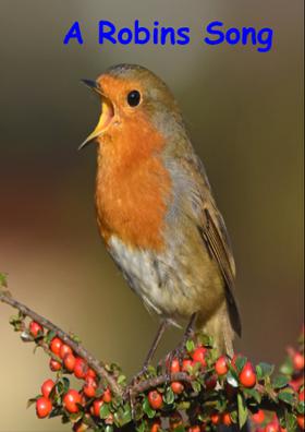A Robin's Song