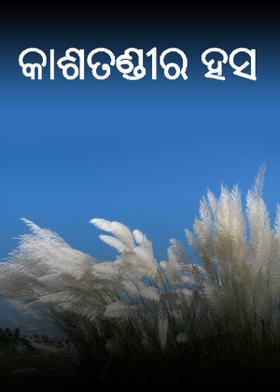 କାଶତଣ୍ଡୀର ହସ