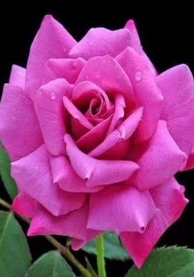 मस्ती भरे इशारे