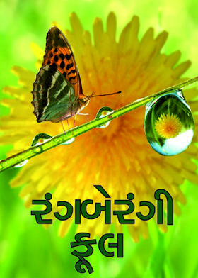 રંગબેરંગી ફૂલ