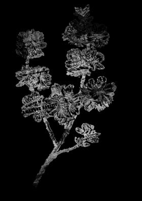 காதலித்துப் பாருமைய்யா!