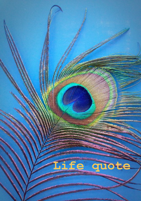 Life Quote