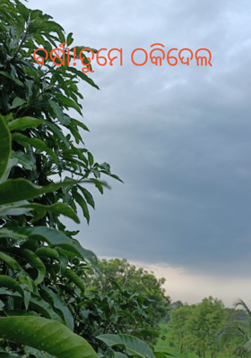 ବର୍ଷା!ତୁମେ ଠକିଦେଲ