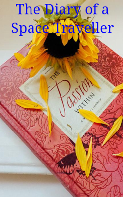 The Diary of a Space Traveller