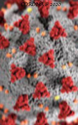 कोरोना @ 2020