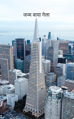 जन्म वाया गेला