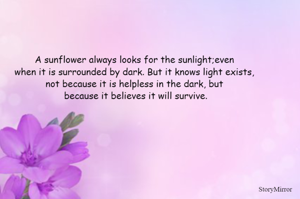 A sunflower always looks for the sunlight;even when it is surrounded by dark. But it knows light exists, not because it is helpless in the dark, but because it believes it will survive.