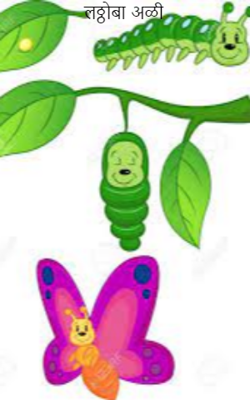 लठ्ठोबा अळी​