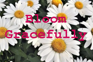 Bloom 
Gracefully 