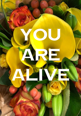 You Are Alive