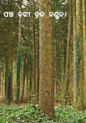 ପଞ୍ଚବଟୀ ବନ ବର୍ଣ୍ଣନ।