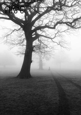 ମାଟିର ମୋହ