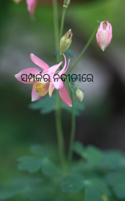 ସମ୍ପର୍କର ନଦୀତୀରେ