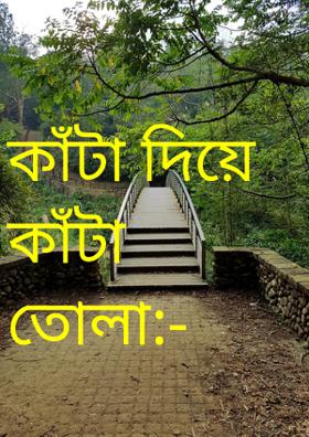 কাঁটা দিয়ে কাঁটা তোলা:-
