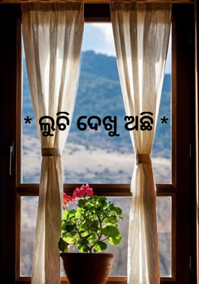 ଲୁଚି ଦେଖୁ ଅଛି