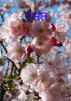 वसंत