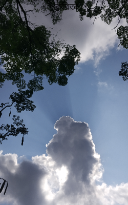 অান্বীক্ষিকী মননে