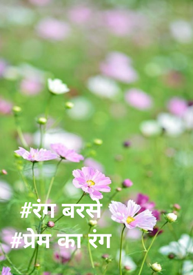 #रंग बरसे#प्रेम का रंग