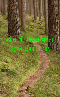 પ્રવાસથી શીખવા મળતા જીવન ઉપયોગી પાઠ