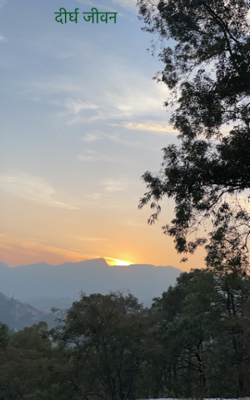 दीर्घ जीवन