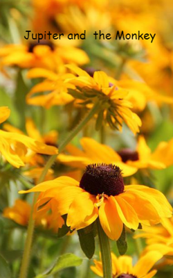 Jupiter And The Monkey