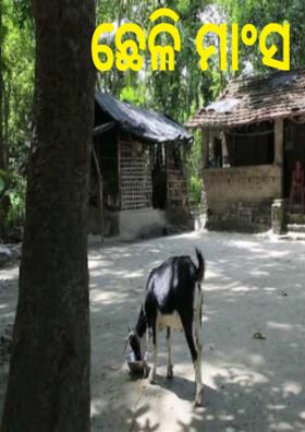 ଛେଳି ମାଂସ