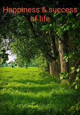 Happiness And Success of Life
