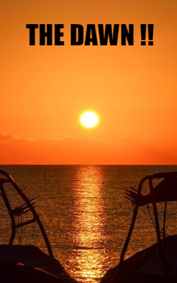 THE DAWN!!