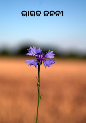 ଭାରତ ଜନନୀ