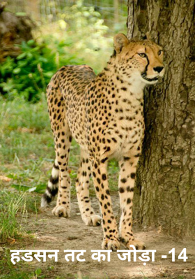 हडसन तट का जोड़ा -14