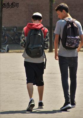 தந்திர வலை