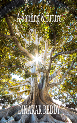 A Sapling And Future