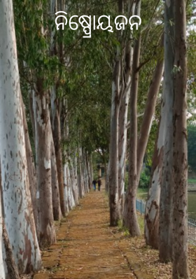 ନିଷ୍ପ୍ରୋୟଜନ