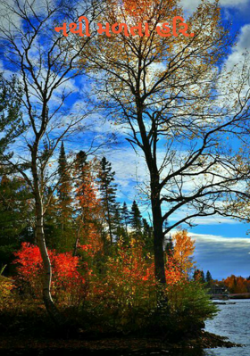 નથી મળતા હરિ