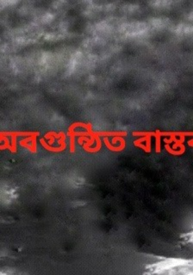 অবগুন্ঠিত বাস্তব