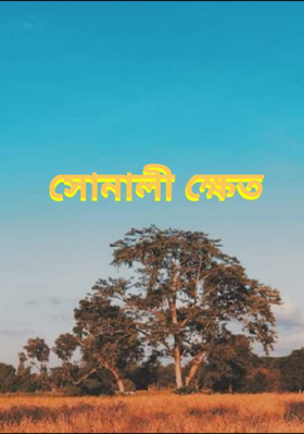 সোনালী ক্ষেত
