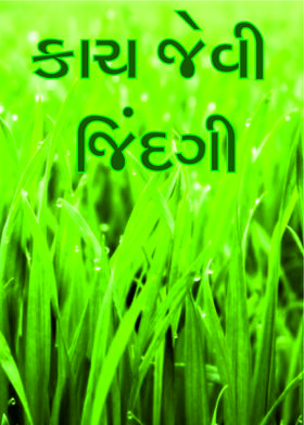 કાચ જેવી જિંદગી