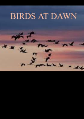 Birds At Dawn