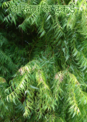 अस्तित्व के टुकड़े