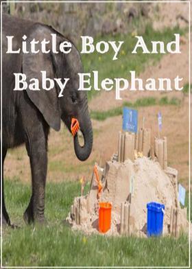 Little Boy And Baby Elephant