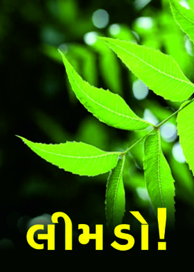 લીમડો!