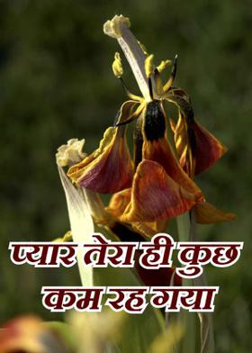 प्यार तेरा ही कुछ कम रह गया