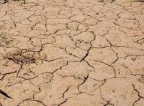  धरती बनी भिखारन