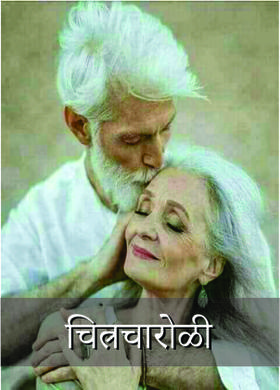 चित्रचारोळी