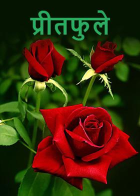 प्रीतफुले