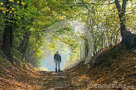 શું કરીશ?