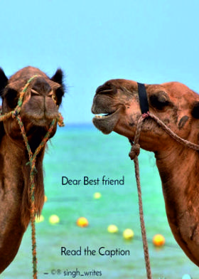 Dear Best Friend